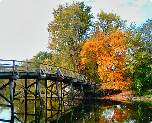 Group Tour Image